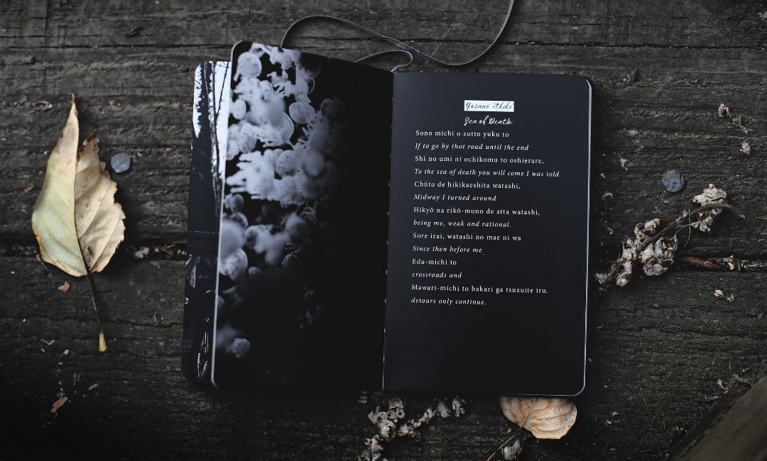 Writing Prompt: National Poetry Month Daily Write-In!