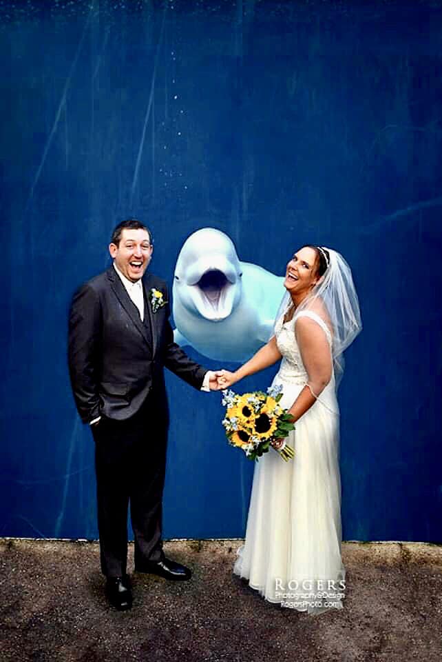 A beluga whale who loves love... and crashes weddings!