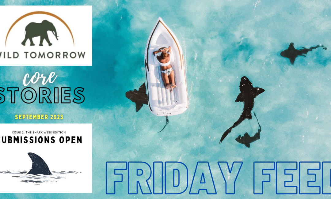 Five Days Left to Submit, Telling Our Stories, & More in the Friday Feed