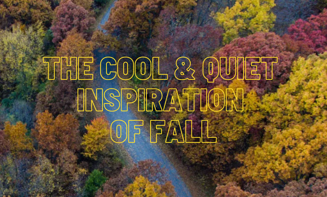 With Any Luck, A Phase of Orange: Writing Prompt Wednesday