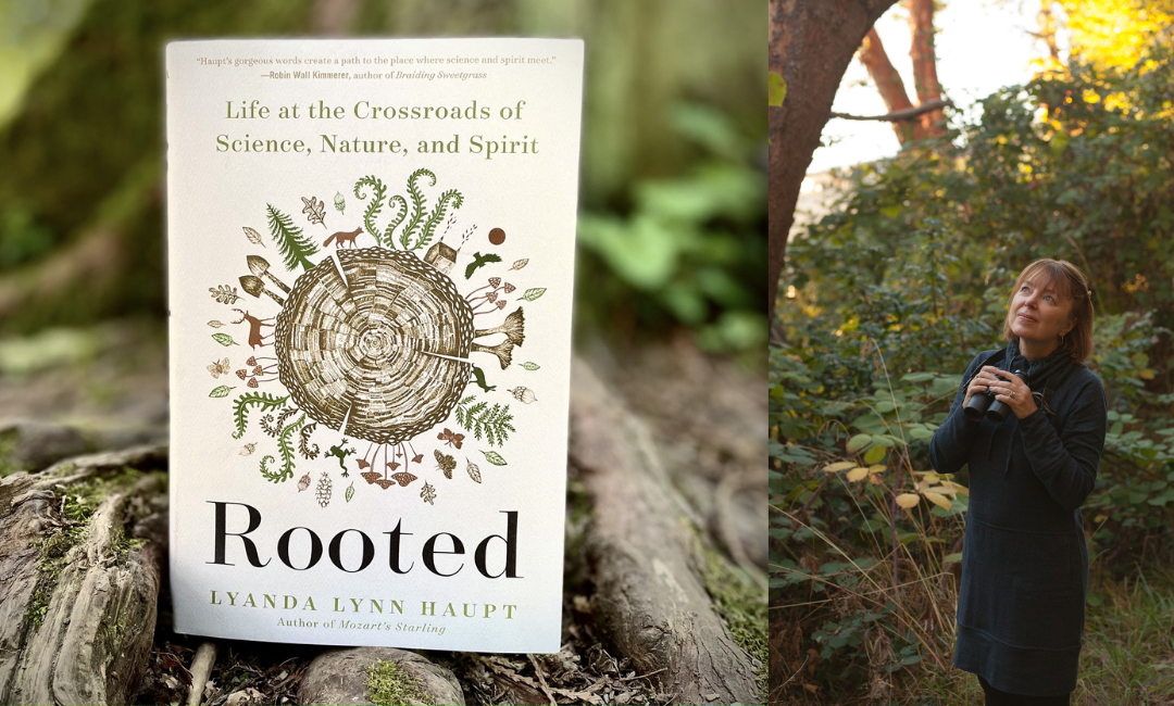 Lyanda Lynn Haupt’s ‘Rooted’: A Scientific Meditation on Human’s Relationship to Nature