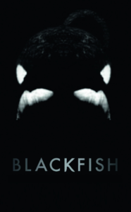 Blackfish Documentary, Directed by Gabriela Cowperthwaite