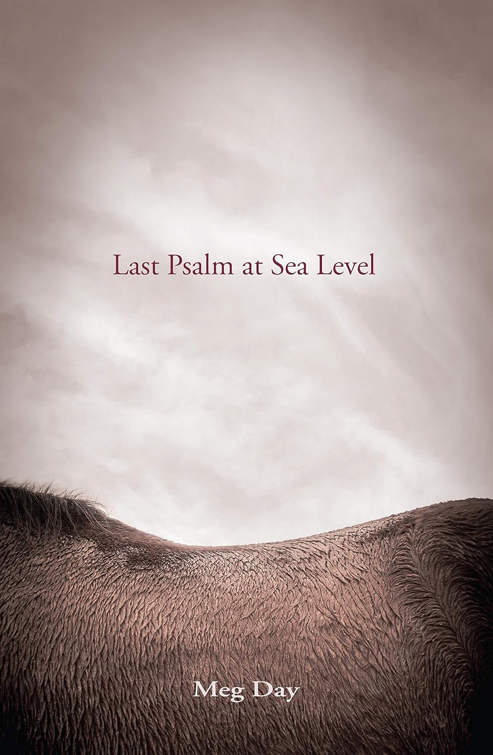 Last Psalm at Sea Level by Meg Day