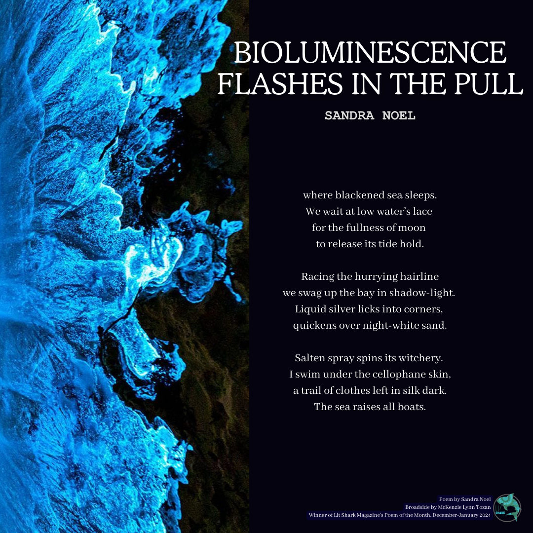 Bioluminescence Flashes in the Pull by Sandra Noel