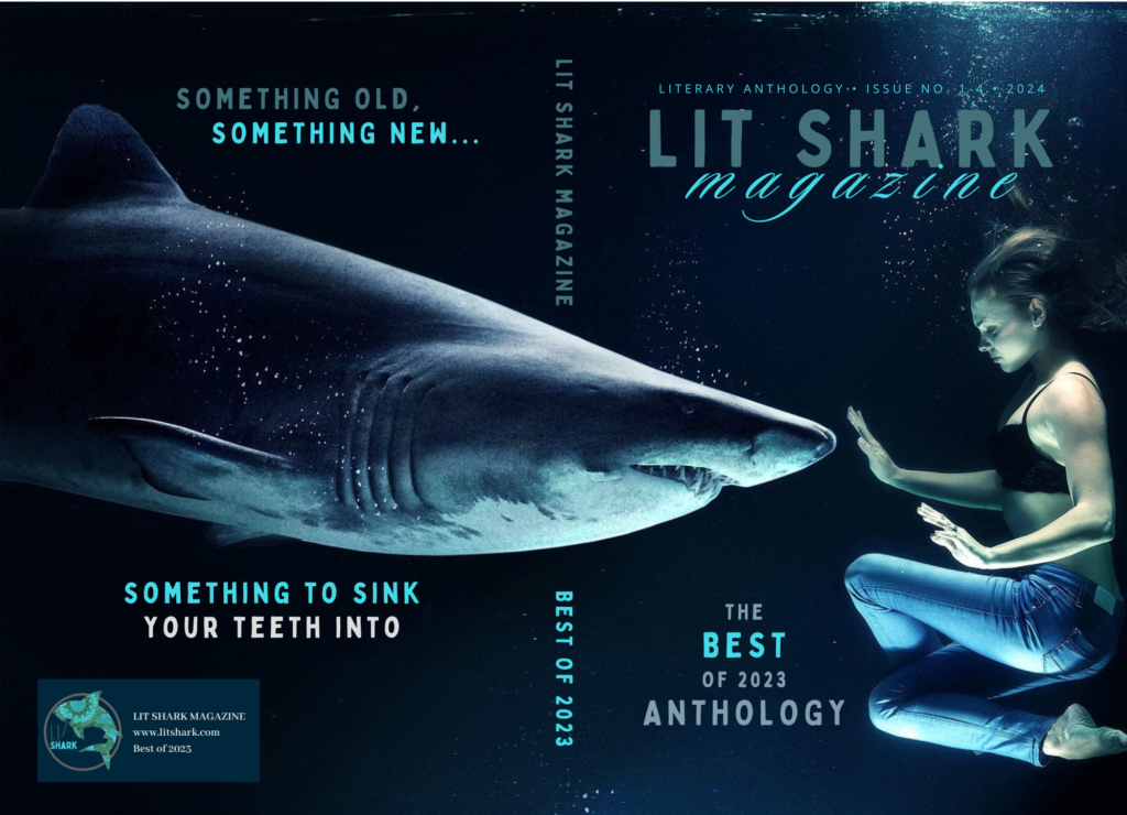 Lit Shark's Best Of 2023 Anthology