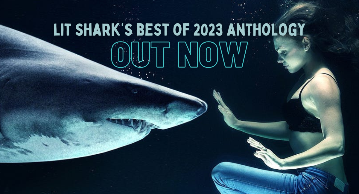 Time To Celebrate! Lit Shark’s Best Of 2023 Anthology Is Out Now!