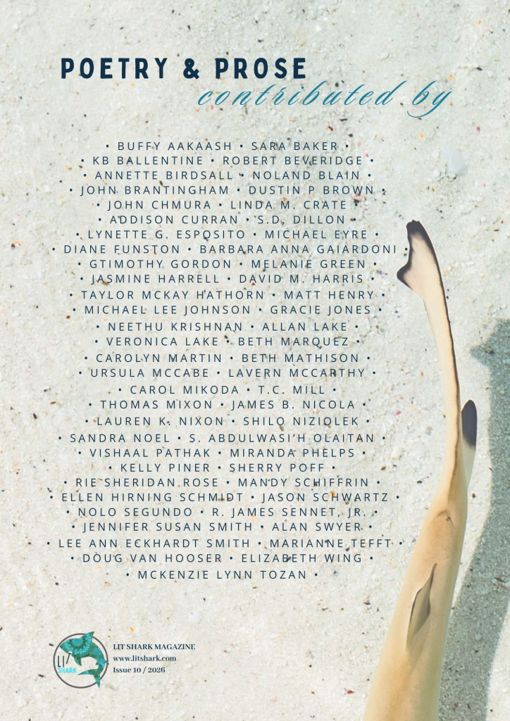 Issue 10 of Lit Shark Magazine: The Winter Edition, back cover