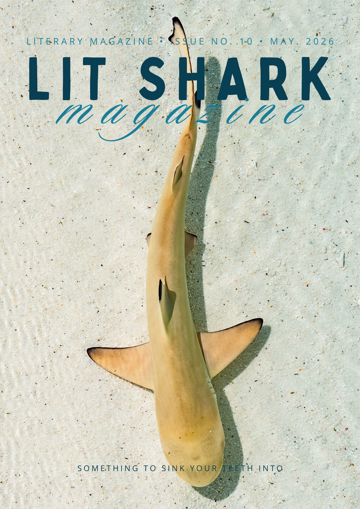 Issue 10 of Lit Shark Magazine: The Winter Edition, front cover