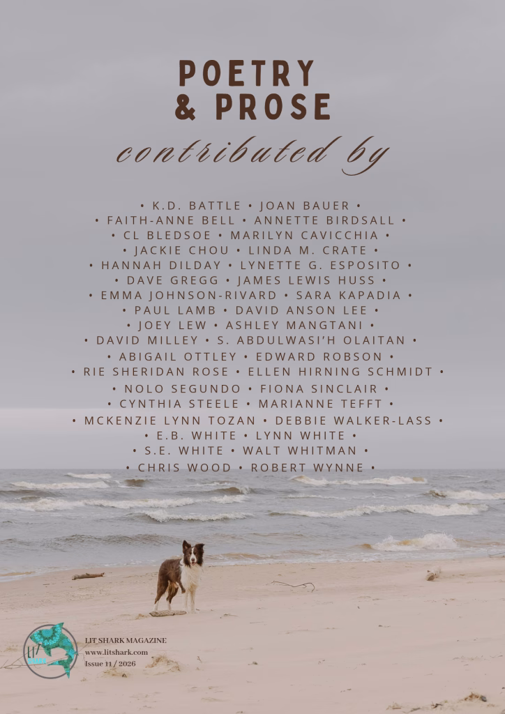 Issue 11 of Lit Shark Magazine: The SHARK DOG Edition, back cover